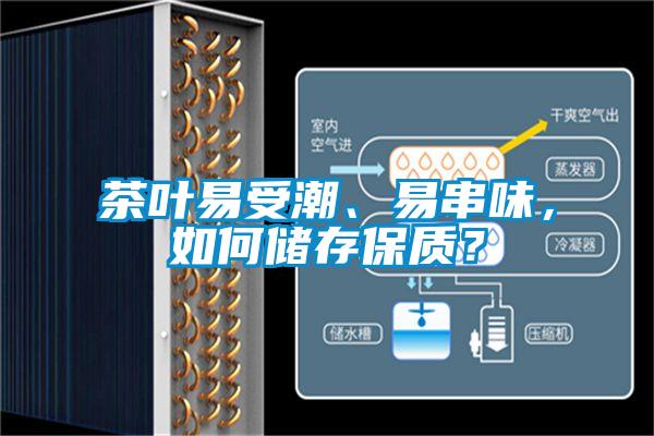 茶葉易受潮、易串味，如何儲存保質？