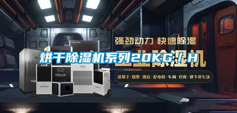 烘幹91视频链接下载係列20KG/H