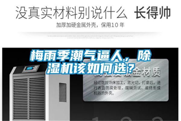 梅雨季潮氣逼人，91视频链接下载該如何選？