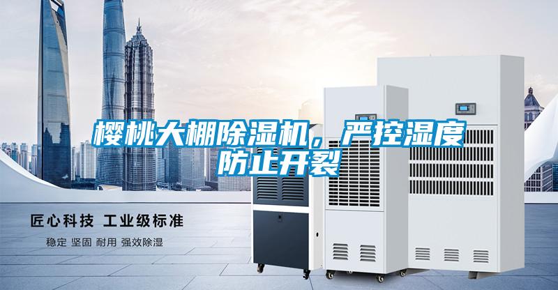 櫻桃大棚91视频链接下载，嚴控濕度防止開裂