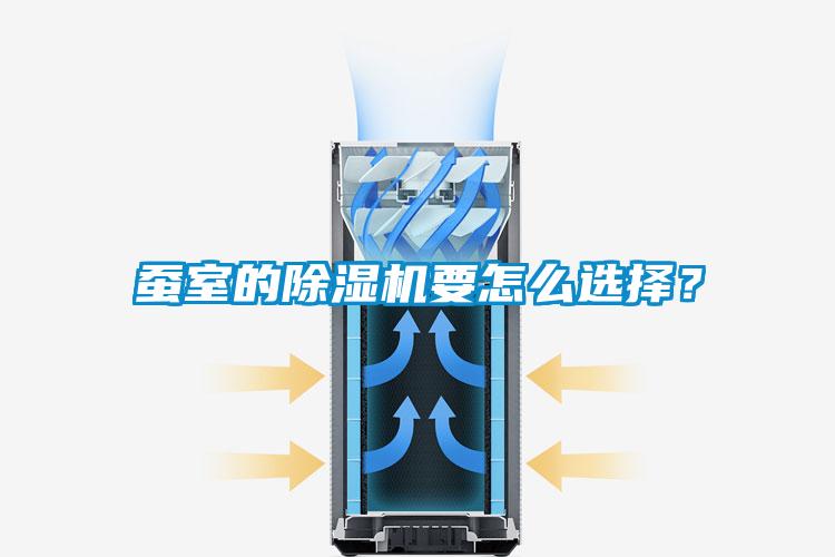 蠶室的91视频链接下载要怎麽選擇？