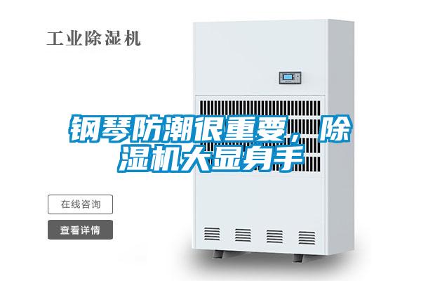 鋼琴防潮很重要，91视频链接下载大顯身手