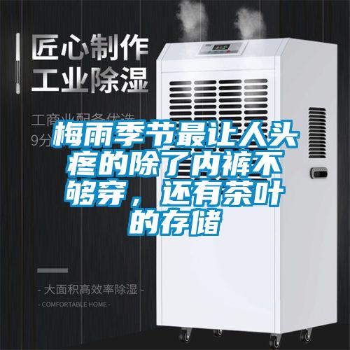 梅雨季節最讓人頭疼的除了內褲不夠穿，還有茶葉的存儲