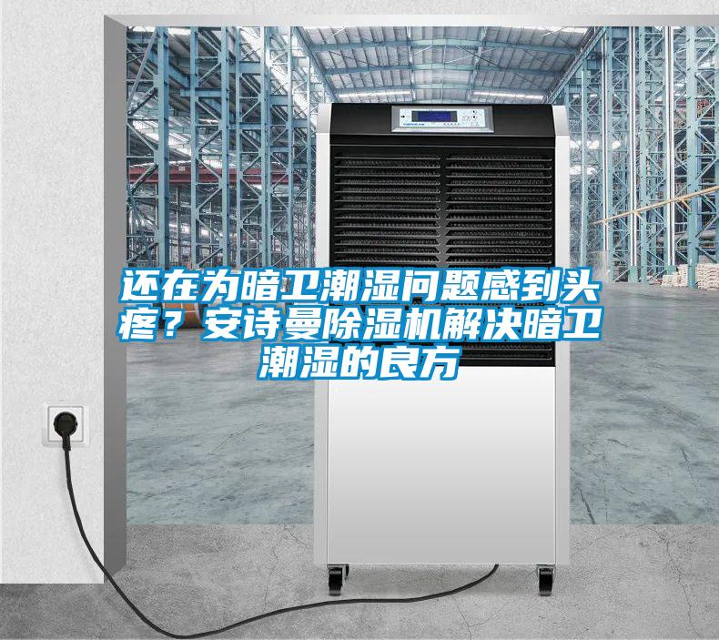 還在為暗衛潮濕問題感到頭疼？91视频在线观看免费91视频链接下载解決暗衛潮濕的良方