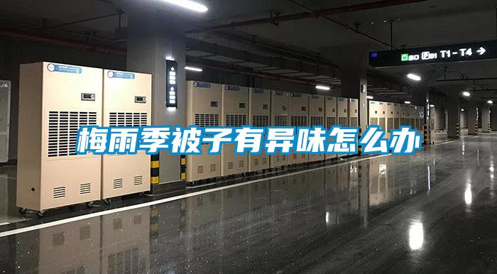 梅雨季被子有異味怎麽辦