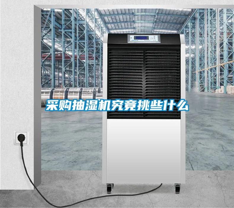 采購抽濕機究竟挑些什麽