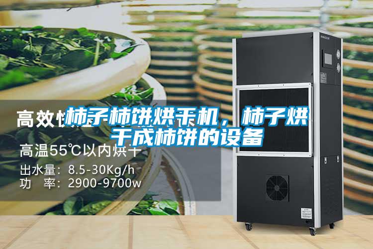 柿子柿餅烘幹機，柿子烘幹成柿餅的設備