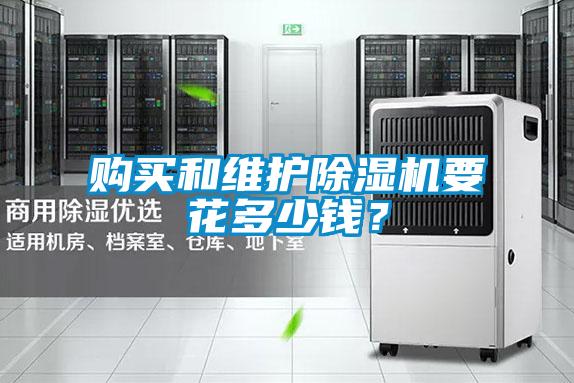 購買和維護91视频链接下载要花多少錢？