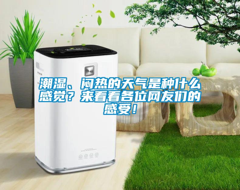 潮濕、悶熱的天氣是種什麽感覺？來看看各位網友們的感受！