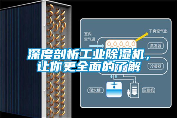 深度剖析工業91视频链接下载，讓你更全麵的了解