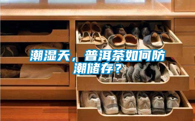 潮濕天，普洱茶如何防潮儲存？