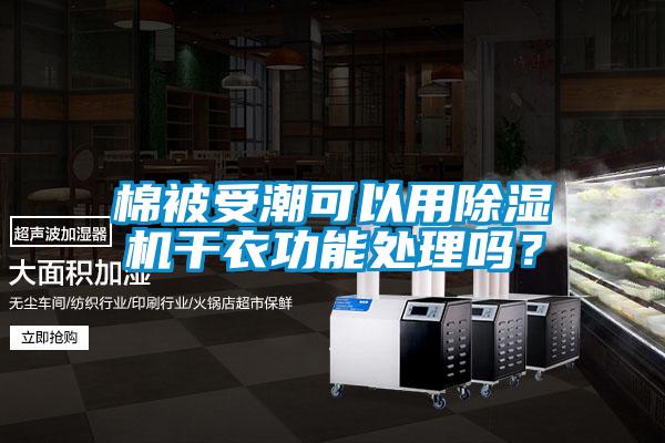 棉被受潮可以用91视频链接下载幹衣功能處理嗎？