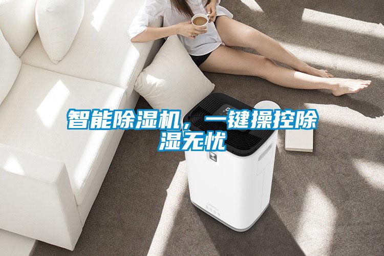 智能91视频链接下载，一鍵操控除濕無憂