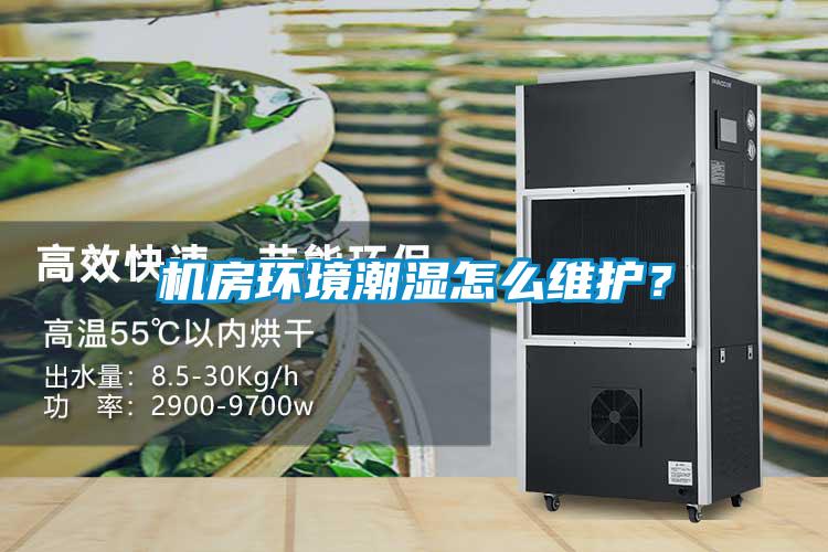 機房環境潮濕怎麽維護？
