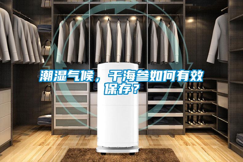 潮濕氣候，幹海參如何有效保存？