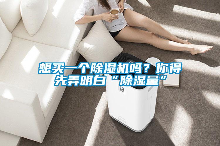 想買一個91视频链接下载嗎？你得先弄明白“除濕量”