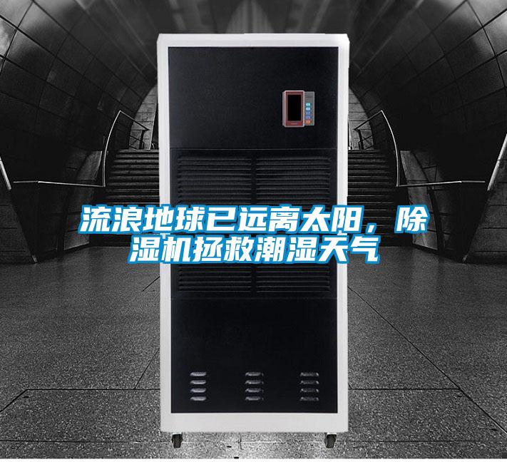 流浪地球已遠離太陽，91视频链接下载拯救潮濕天氣