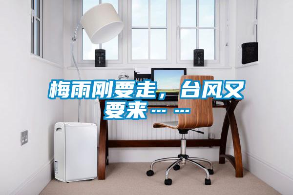 梅雨剛要走，台風又要來……