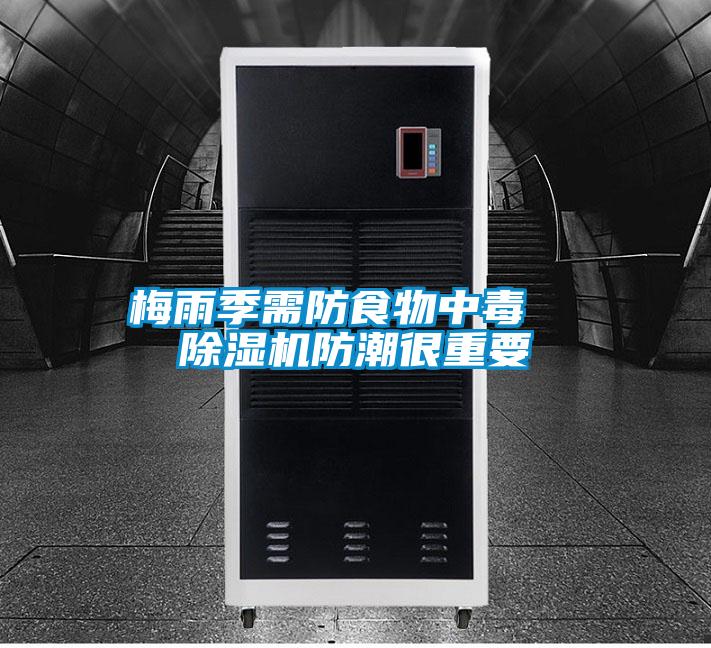 梅雨季需防食物中毒  91视频链接下载防潮很重要