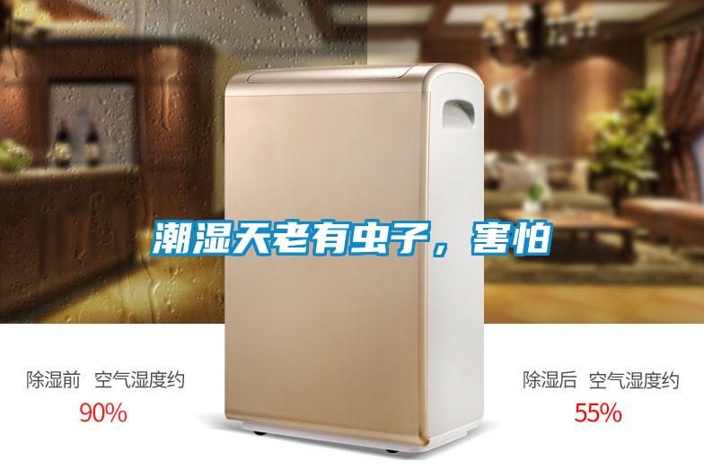 潮濕天老有蟲子，害怕