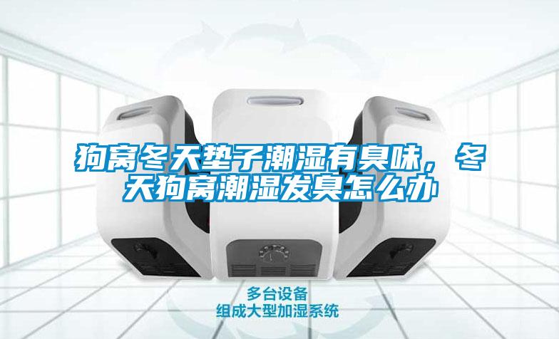 狗窩冬天墊子潮濕有臭味，冬天狗窩潮濕發臭怎麽辦