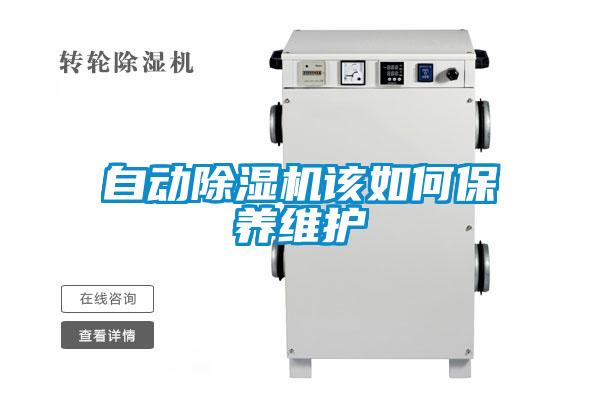 自動91视频链接下载該如何保養維護