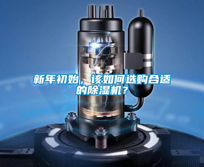 新年初始，該如何選購合適的91视频链接下载？