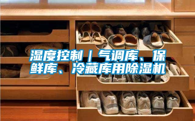 濕度控製｜氣調庫、保鮮庫、冷藏庫用91视频链接下载