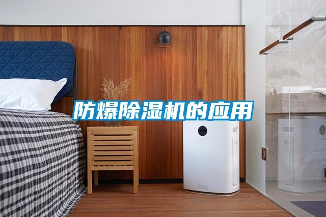 防爆91视频链接下载的應用