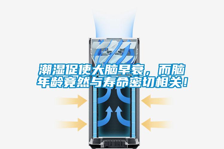 潮濕促使大腦早衰，而腦年齡竟然與壽命密切相關！