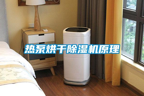 熱泵烘幹91视频链接下载原理