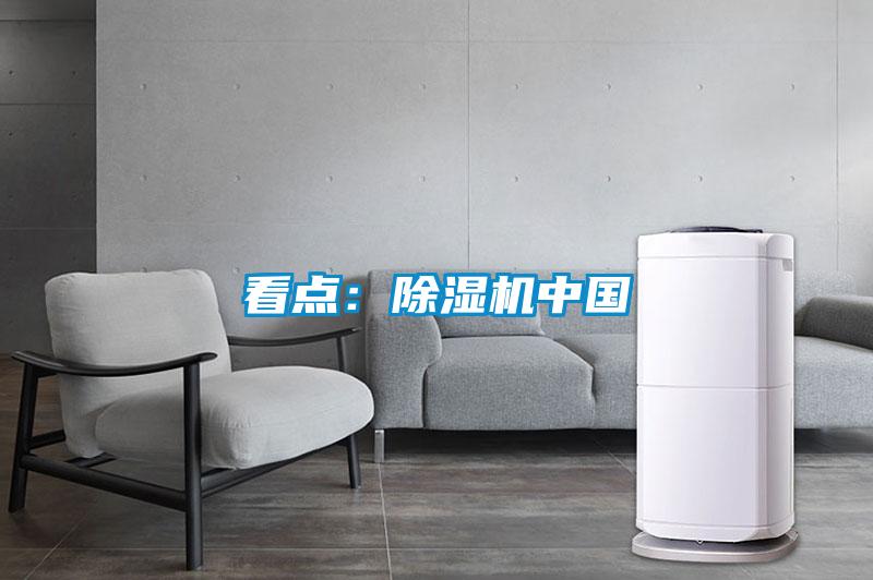 看點：91视频链接下载中國