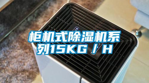 櫃機式91视频链接下载係列15KG/H