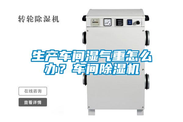 生產車間濕氣重怎麽辦？車間91视频链接下载