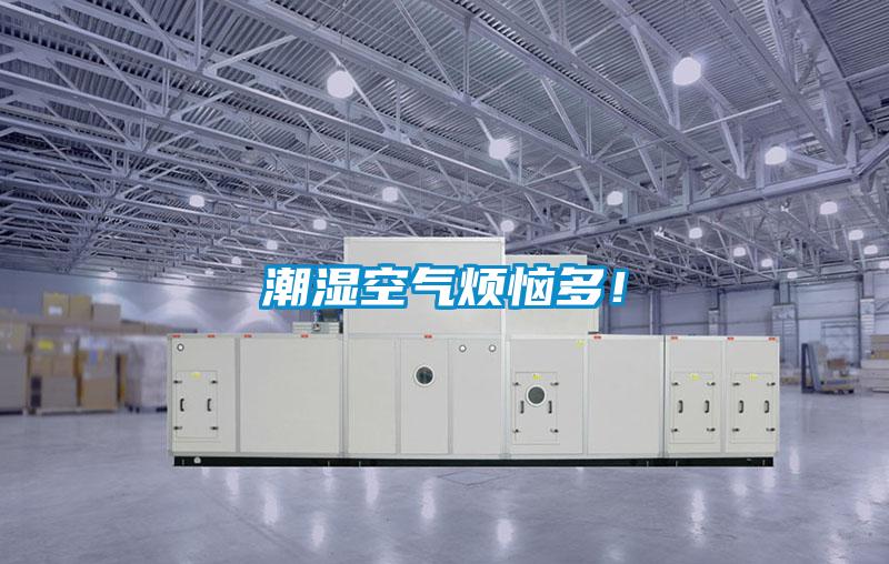 潮濕空氣煩惱多！