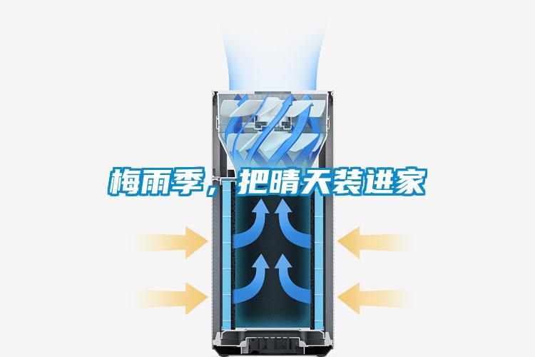 梅雨季，把晴天裝進家