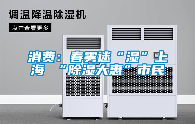消費：春霧迷“濕”上海 “除濕大惠”市民
