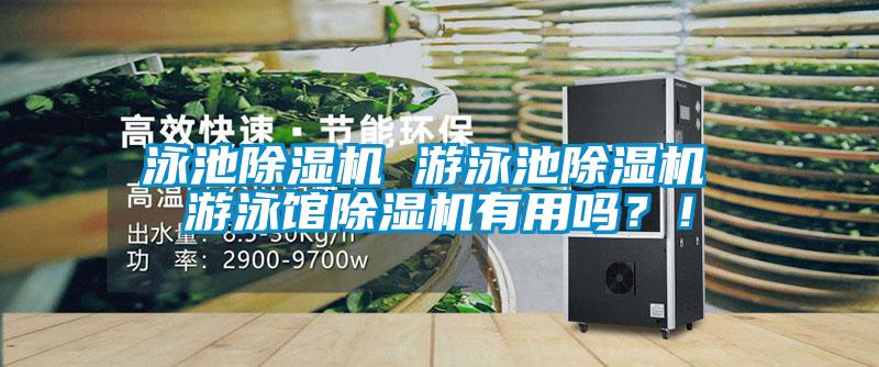 泳池91视频链接下载 遊泳池91视频链接下载 遊泳館91视频链接下载有用嗎？！