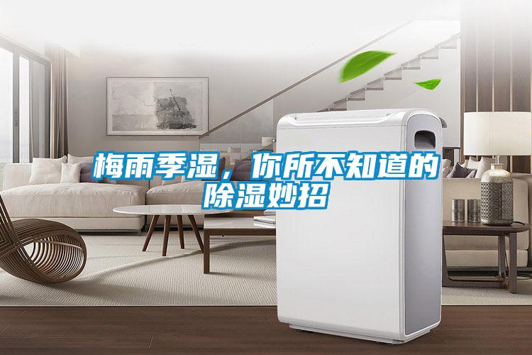 梅雨季濕，你所不知道的除濕妙招