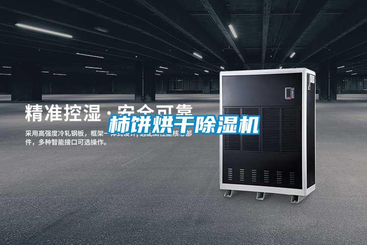 柿餅烘幹91视频链接下载