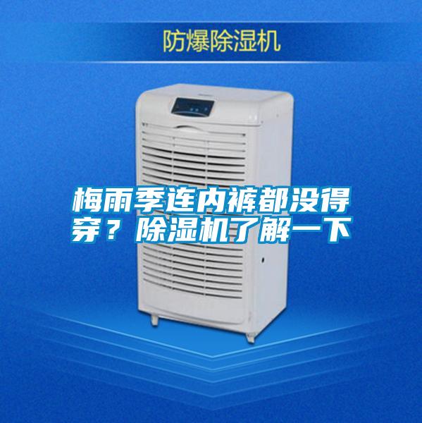 梅雨季連內褲都沒得穿？91视频链接下载了解一下