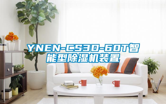 YNEN-CS3D-60T智能型91视频链接下载裝置