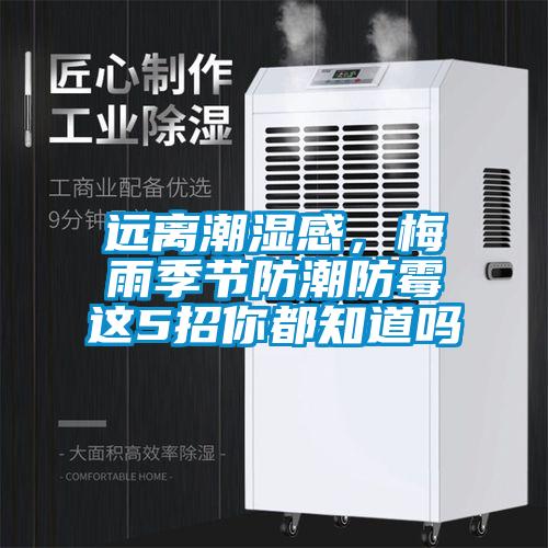 遠離潮濕感，梅雨季節防潮防黴這5招你都知道嗎