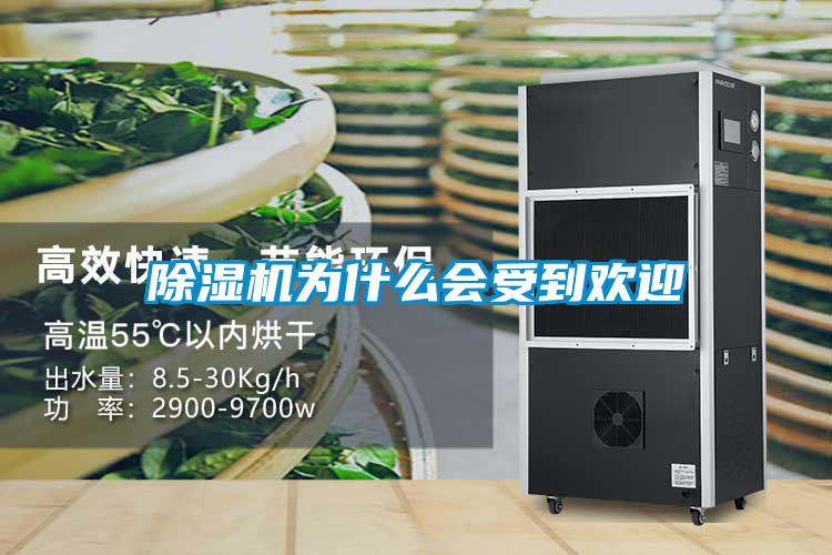 91视频链接下载為什麽會受到歡迎