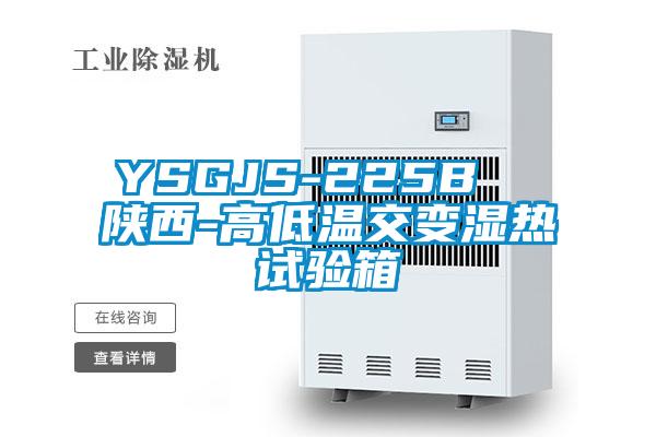 YSGJS-225B 陝西-高低溫交變濕熱試驗箱