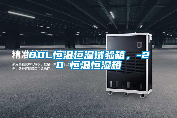 80L恒溫恒濕試驗箱，-20℃恒溫恒濕箱