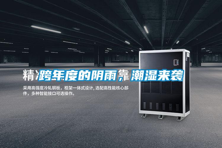 跨年度的陰雨，潮濕來襲