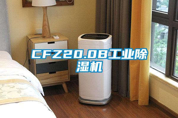 CFZ20.0B工業91视频链接下载