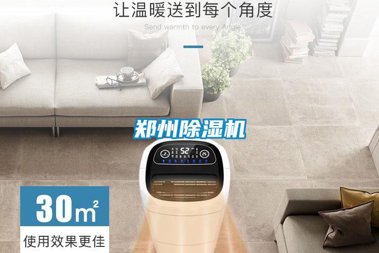 鄭州91视频链接下载