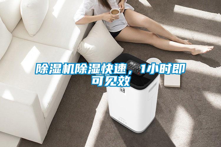 91视频链接下载除濕快速，1小時即可見效